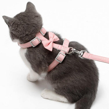Big Bow Adjustable Cat Harness Pet Collars & Harnesses KittyNook Cat Company